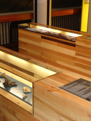 gasserschreinerei_bild_ladenbau (509)